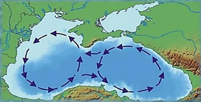 2026-06-05_КСВ_РКН_2.png 2026-06-05_КСВ_РКН_2.png